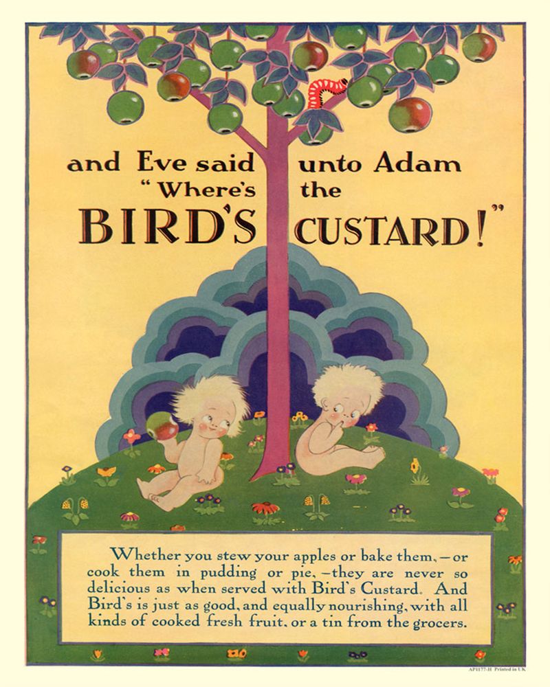 Vintage Metal Sign - Retro Advertising - Birds Custard, Adam & Eve