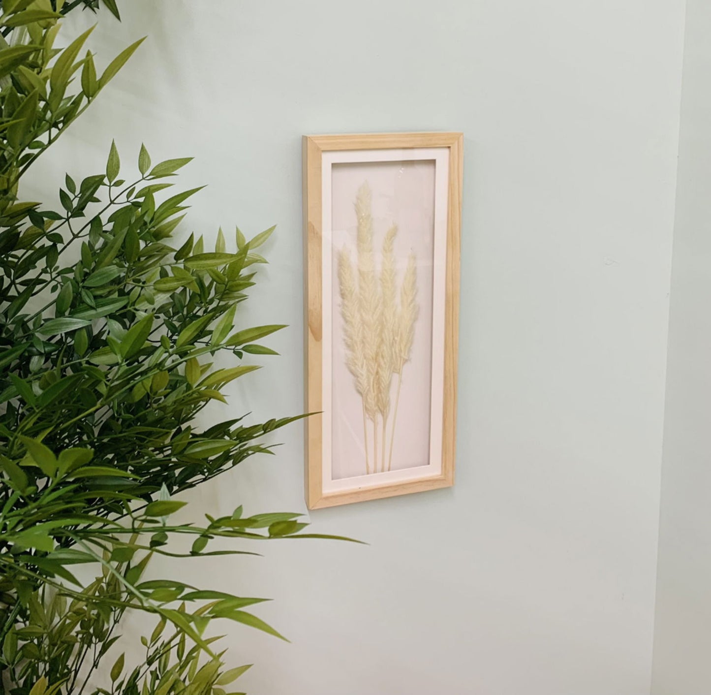 White Pampas In Rectangular Frame 50cm