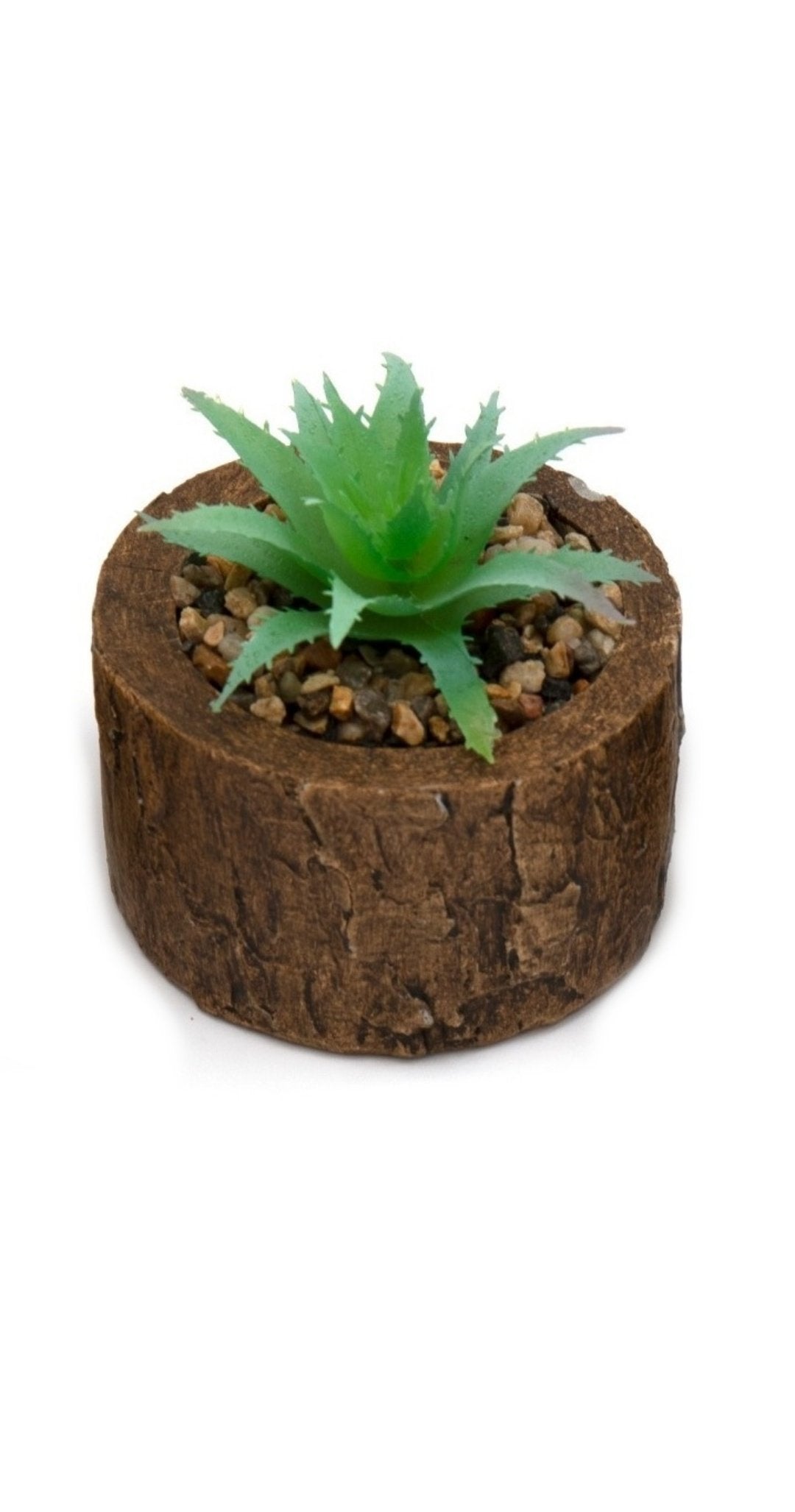 Bark Effect Pot and Succulent