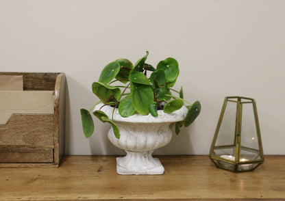 Classic Low Urn Planter