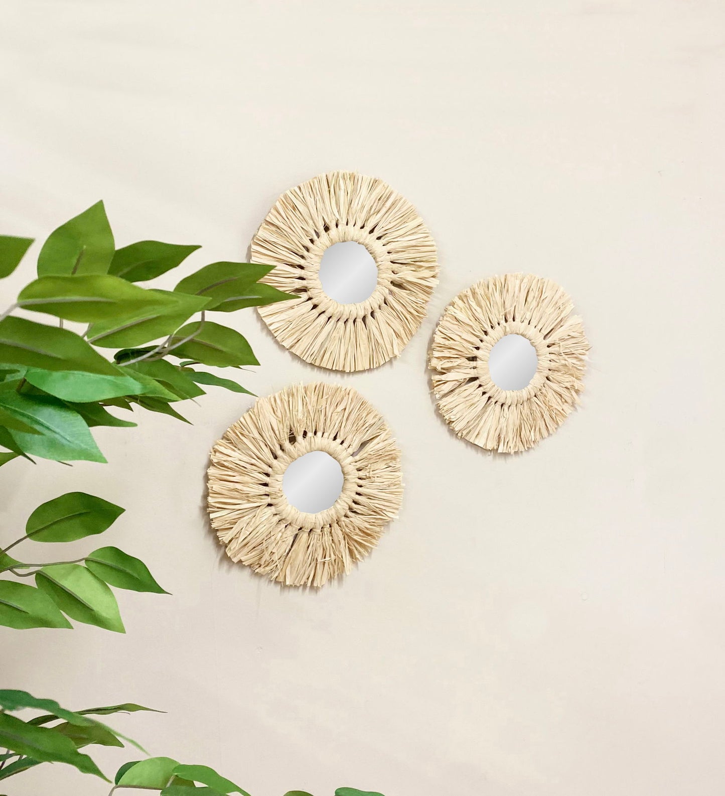 Set of Three Dried Grass Mirrors