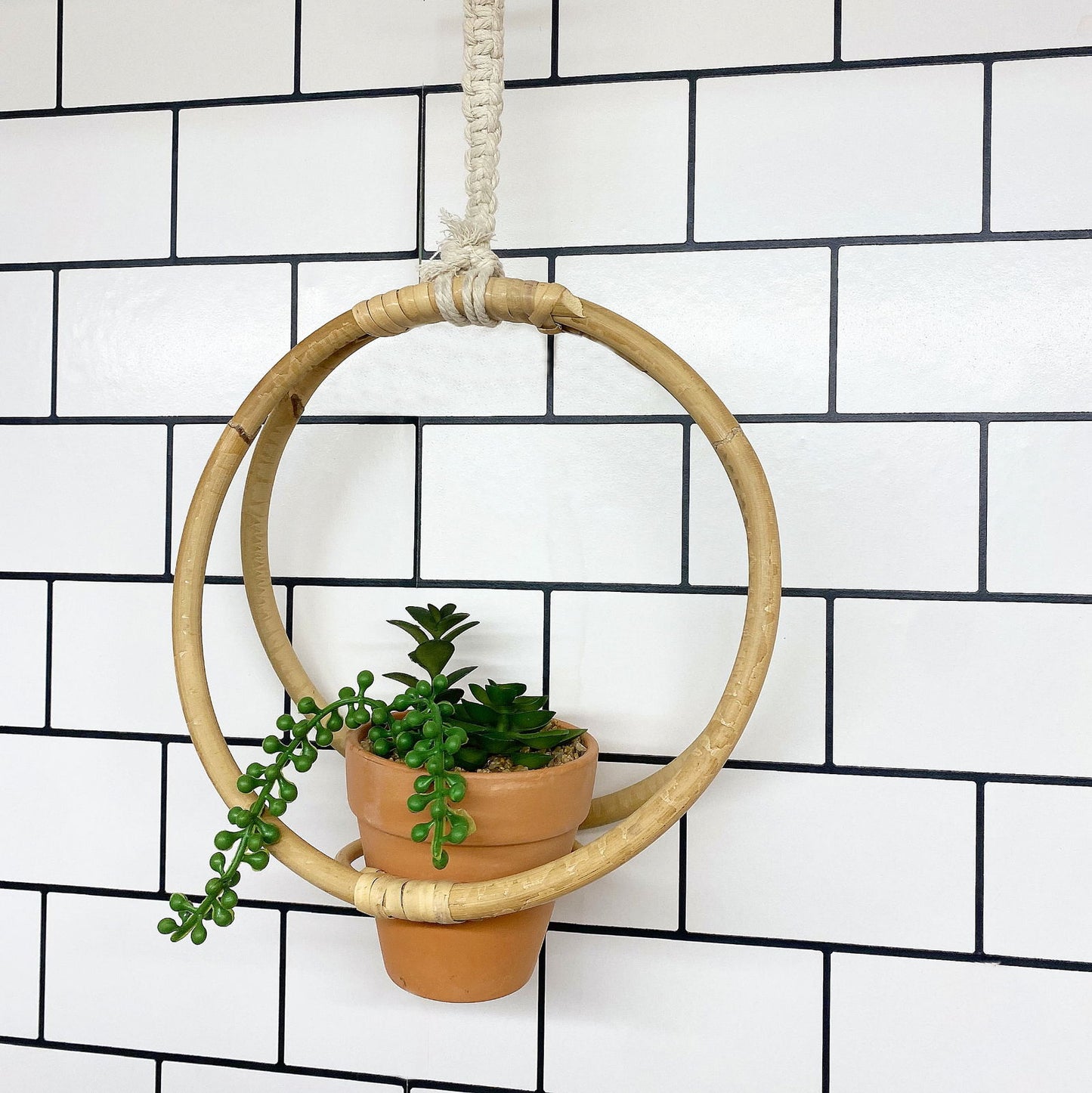 Faux Succulent In Bamboo Hanger