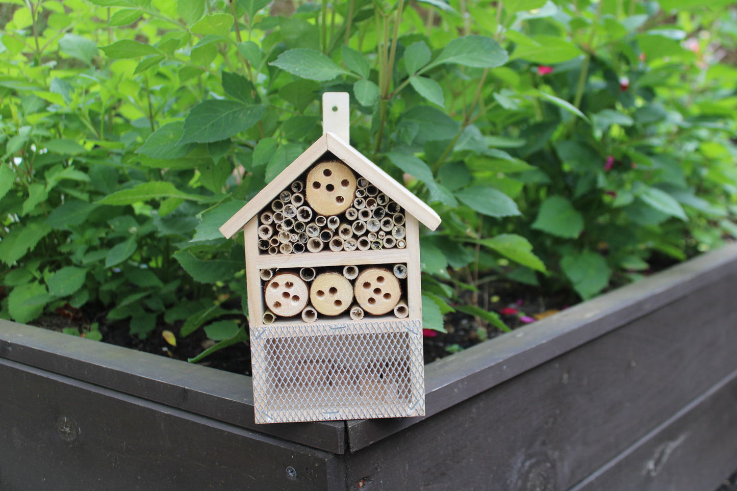 Wooden Insect House