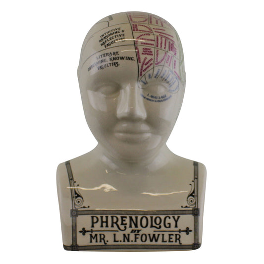 Large Ceramic Crackle Phrenology Head