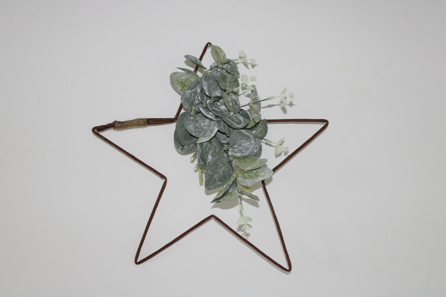 Hanging Wire Star with Eucalyptus Detail